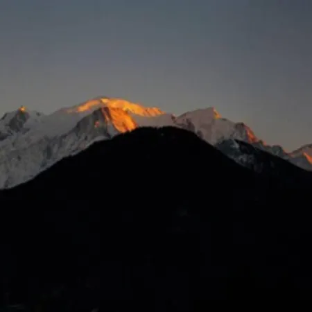Le Chamois D'or